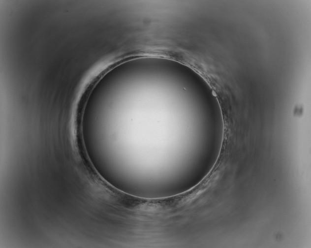 X0000103150294200808221337