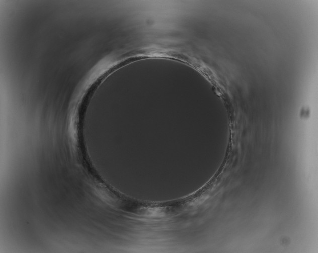 X0000103150295200808221337