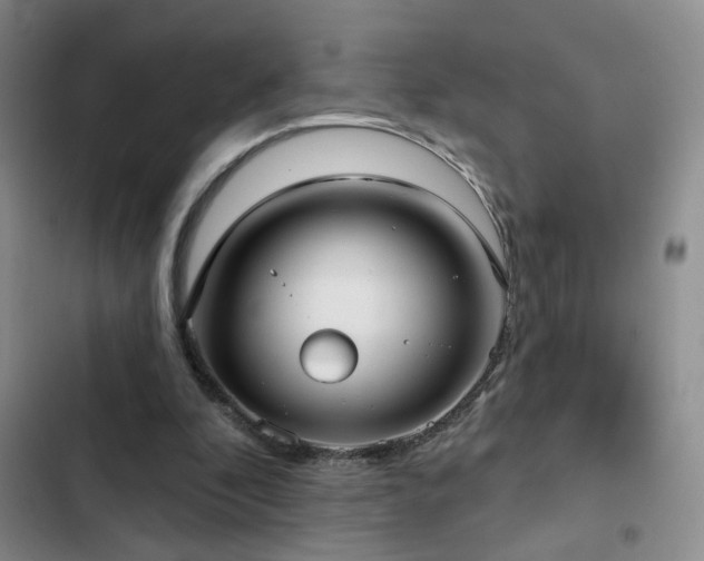 X0000103150296200808221337