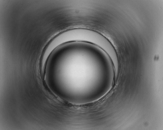 X0000103150297200808221337