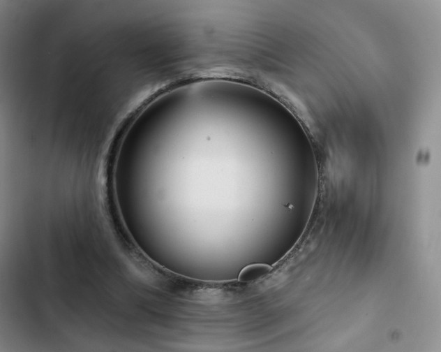 X0000103150298200808221337