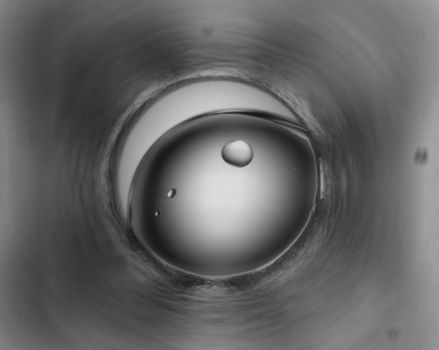 X0000103150300200808221337