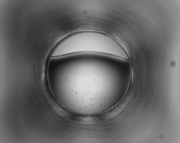 X0000103150301200808221337