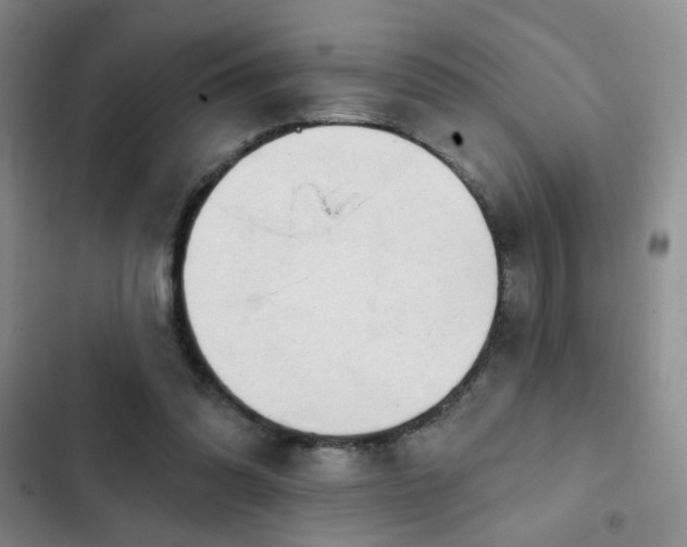 X0000103150302200808221337