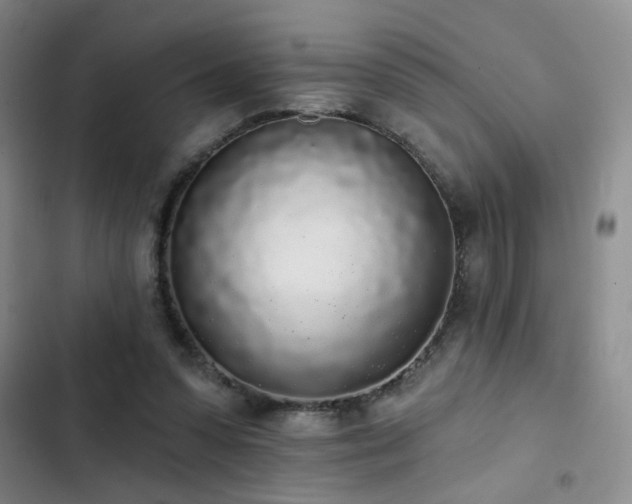 X0000103150303200808221337