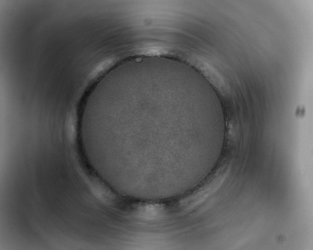 X0000103150304200808221337