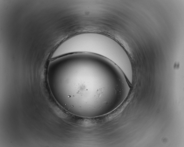 X0000103150305200808221337