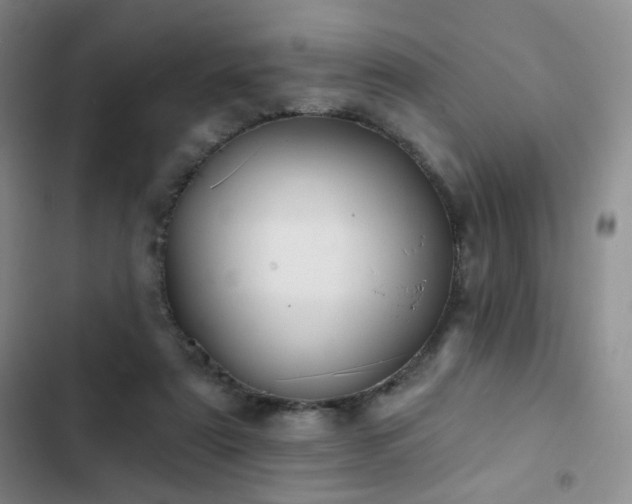 X0000103150307200808221337