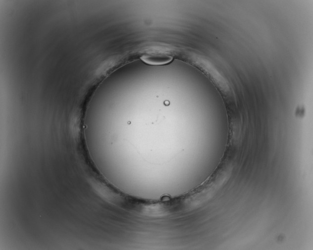 X0000103150309200808221337