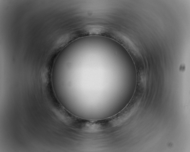 X0000103150311200808221337