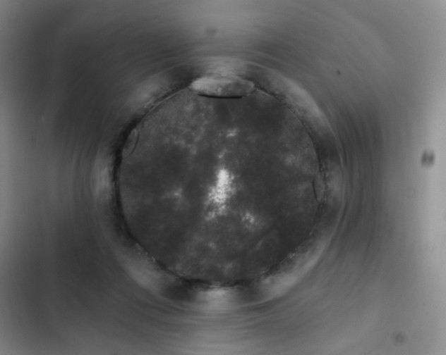 X0000103150312200808221337