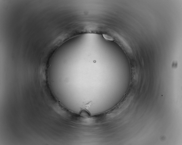 X0000103150313200808221337