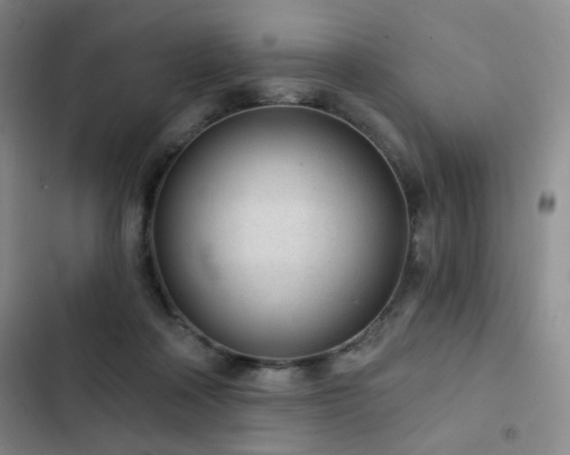 X0000103150314200808221337