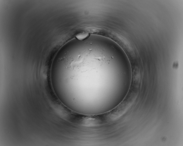 X0000103150315200808221337