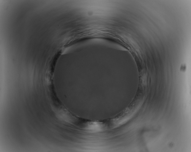 X0000103150316200808221337