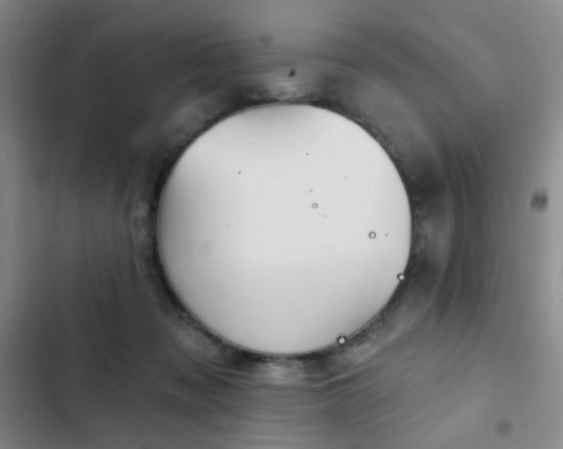 X0000103150317200808221337