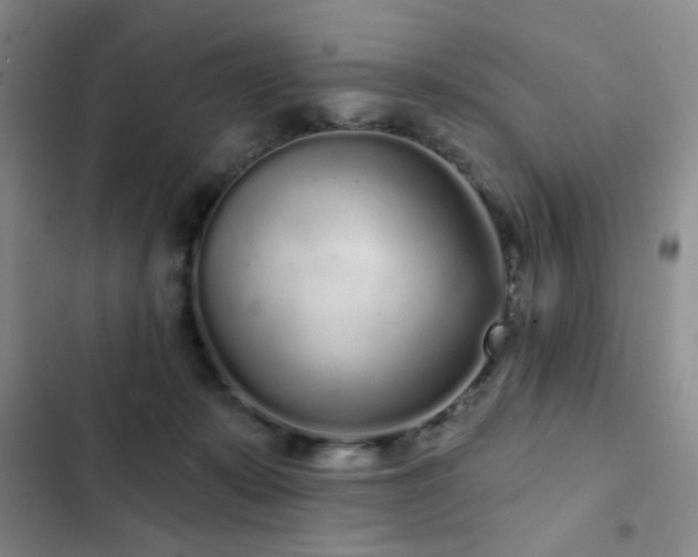 X0000103150319200808221337