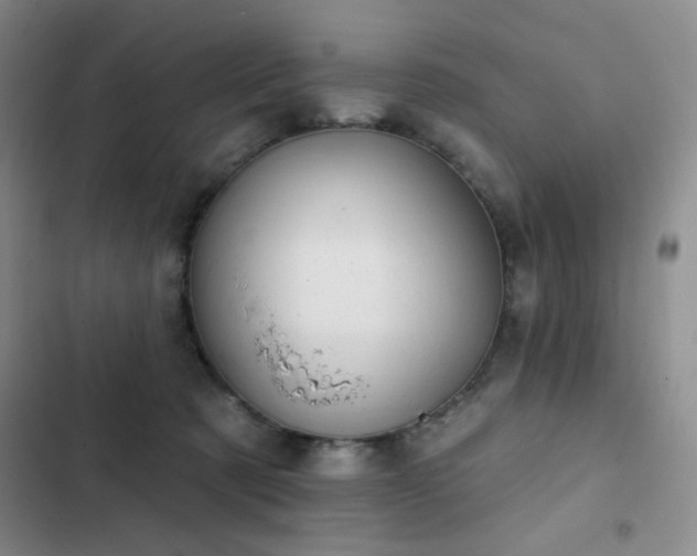 X0000103150321200808221337