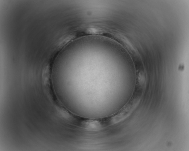 X0000103150322200808221337