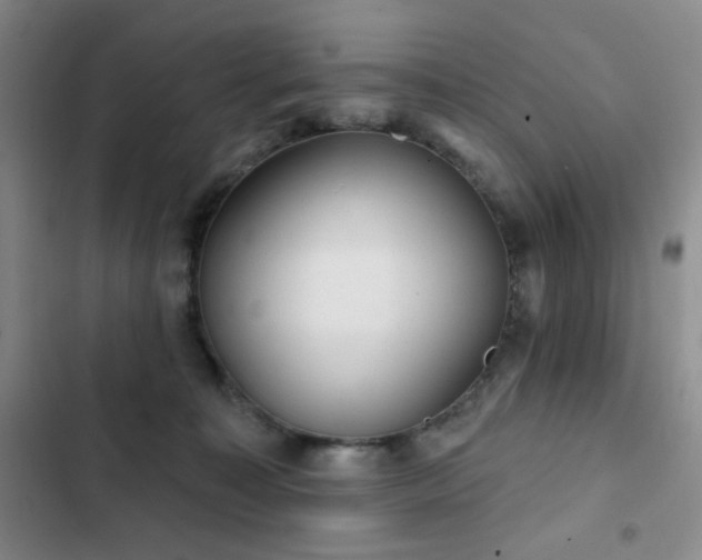 X0000103150323200808221337