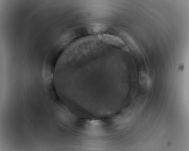 X0000103150324200808221337