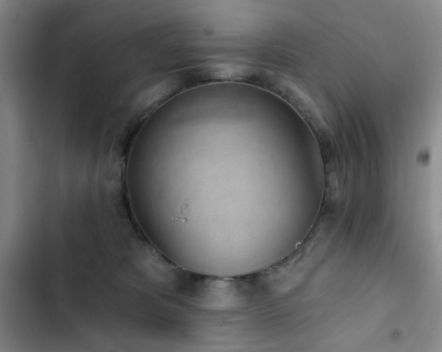 X0000103150325200808221337