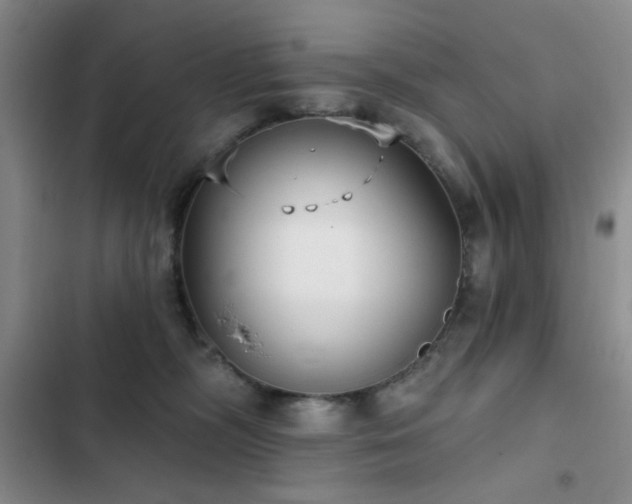 X0000103150326200808221337