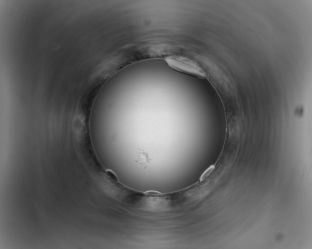 X0000103150327200808221337