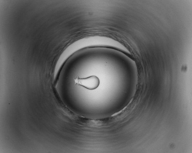 X0000103150328200808221337