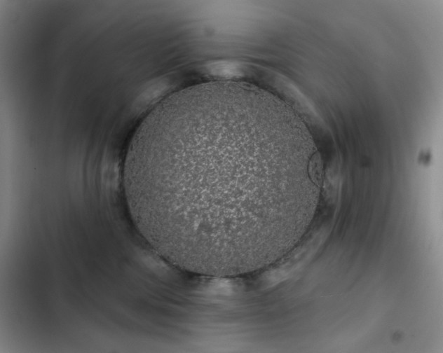 X0000103150330200808221337