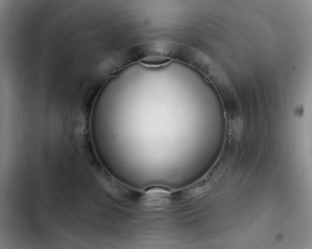 X0000103150331200808221337