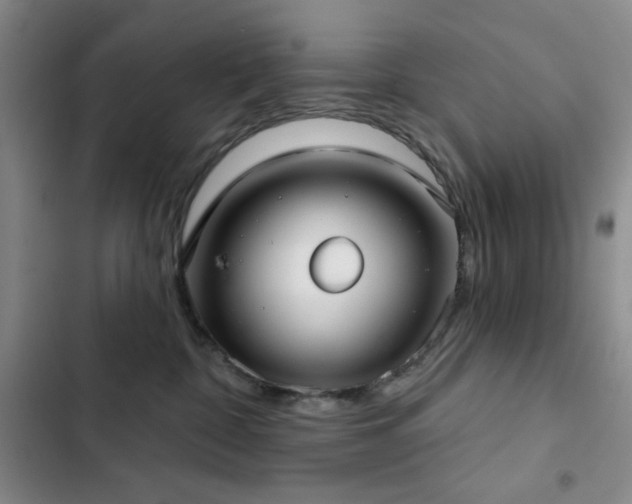 X0000103150332200808221337