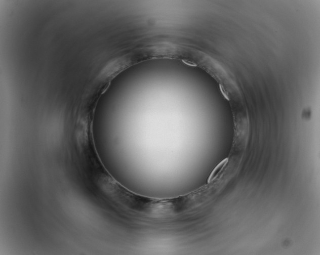 X0000103150333200808221337