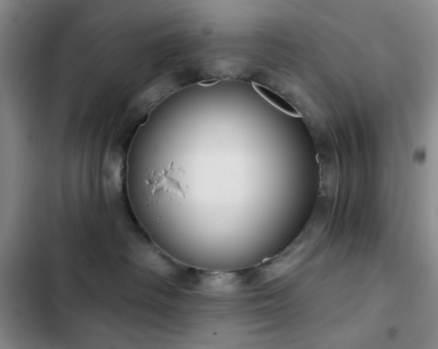 X0000103150334200808221337