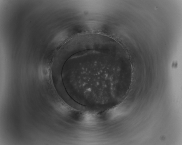 X0000103150336200808221337