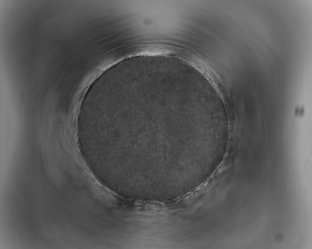 X0000103150337200808221336