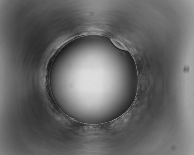 X0000103150338200808221336