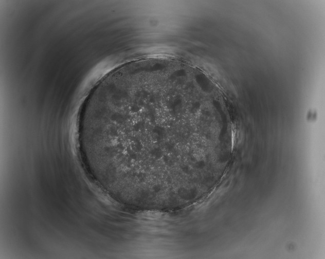 X0000103150339200808221336