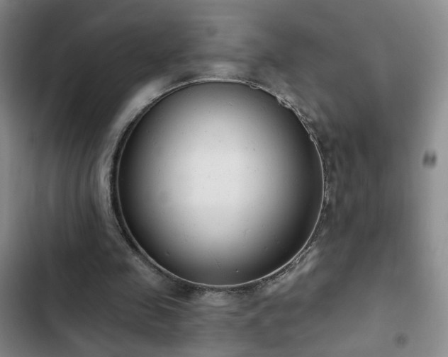 X0000103150341200808221336