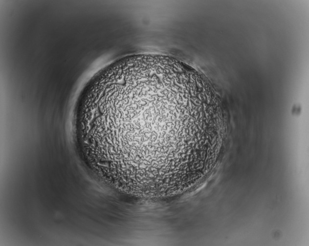 X0000103150343200808221336