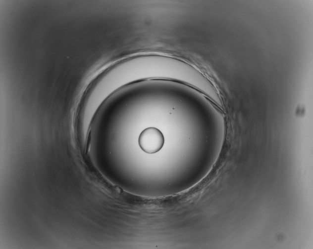 X0000103150344200808221336