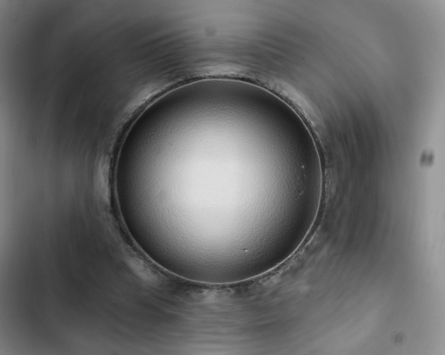 X0000103150345200808221336