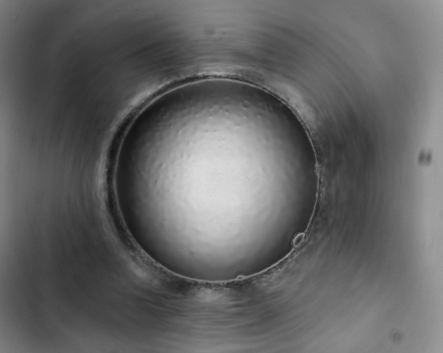 X0000103150346200808221336