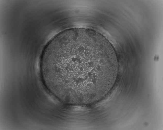 X0000103150347200808221336