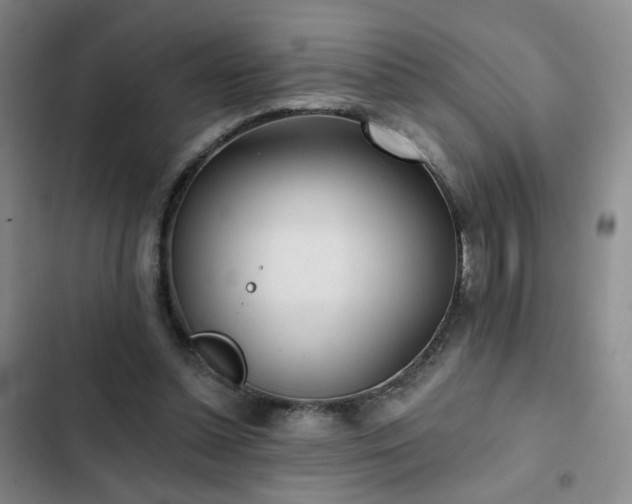 X0000103150348200808221336