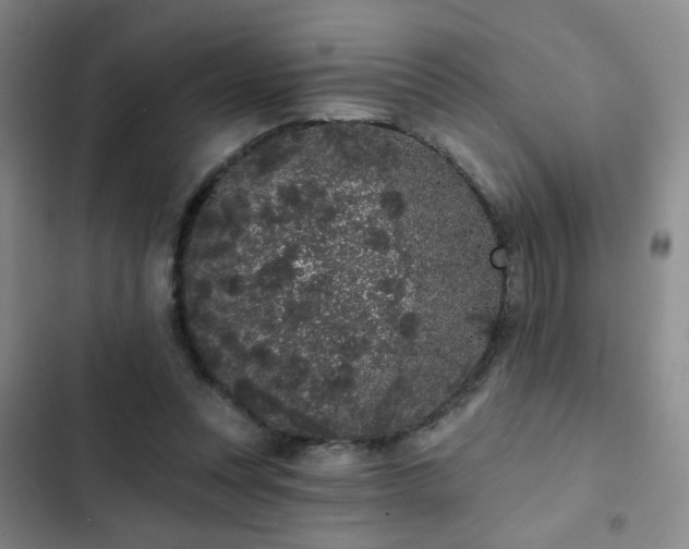 X0000103150351200808221336