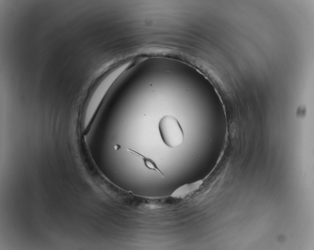 X0000103150352200808221336