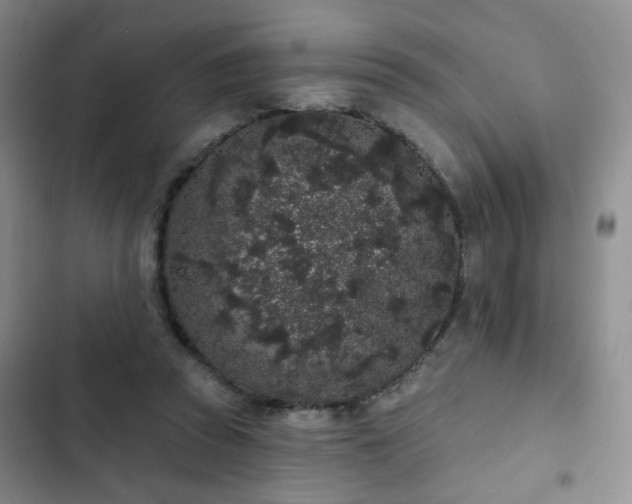 X0000103150353200808221336