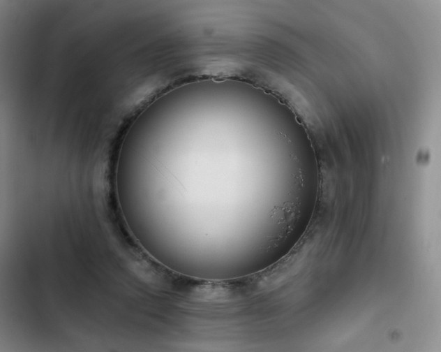 X0000103150354200808221336