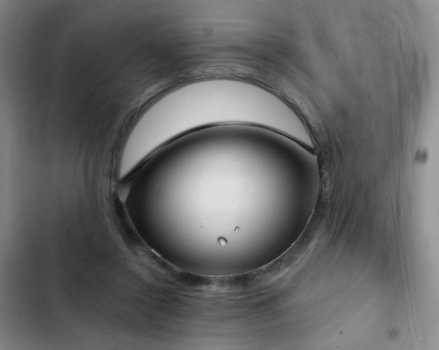 X0000103150356200808221336